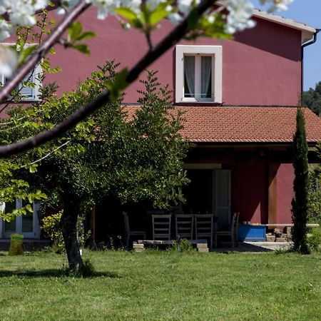 Agriturismo Campoletizia Miglianico Εξωτερικό φωτογραφία