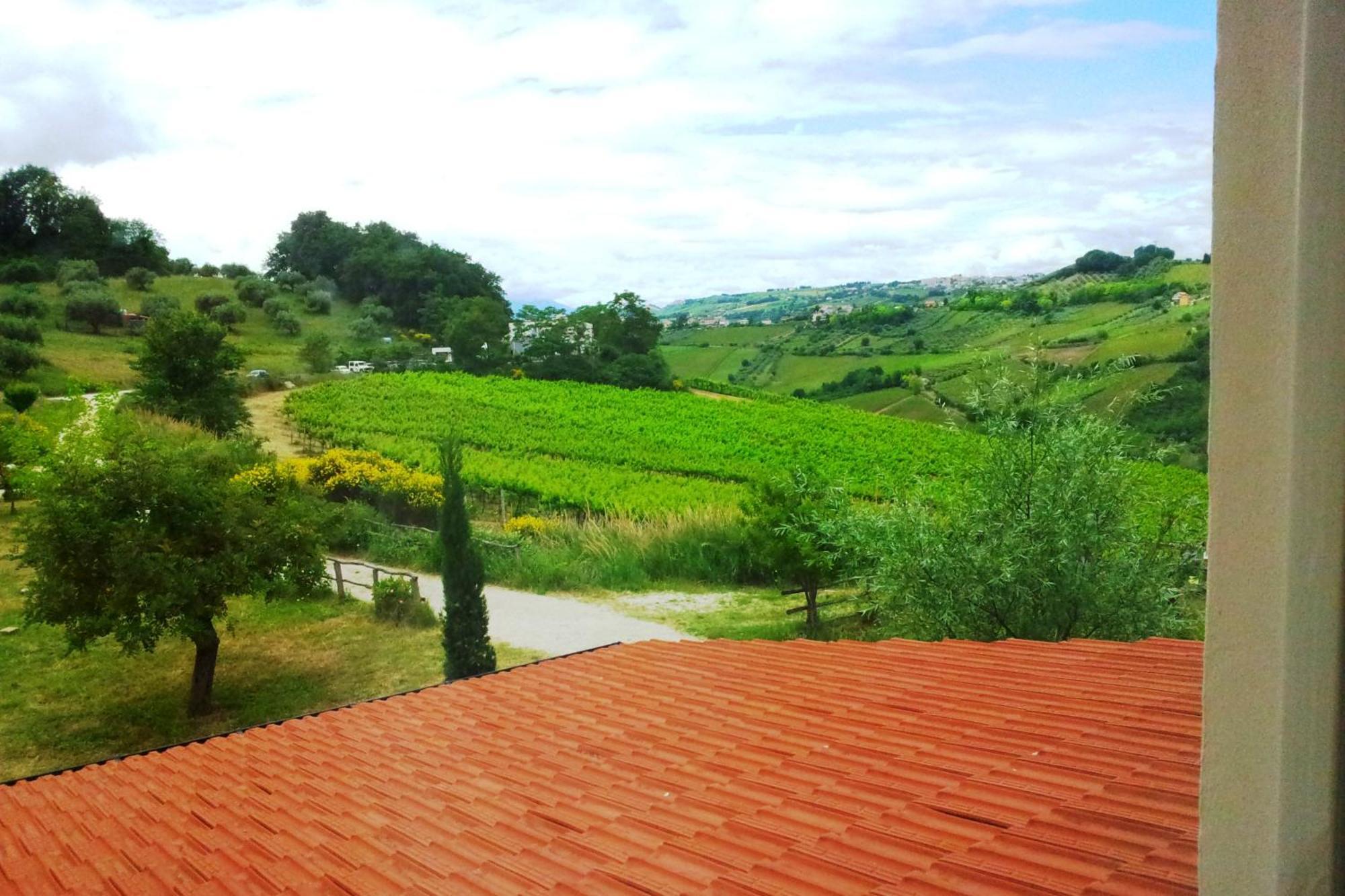 Agriturismo Campoletizia Miglianico Δωμάτιο φωτογραφία