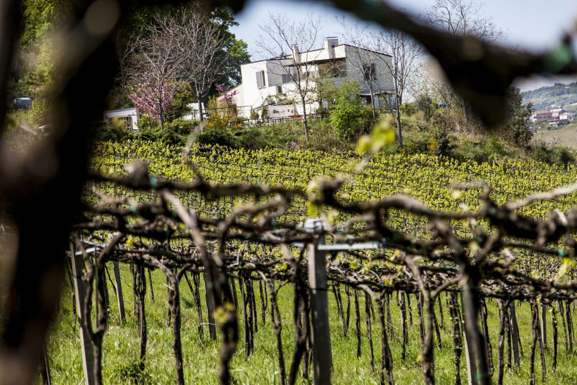 Agriturismo Campoletizia Miglianico Εξωτερικό φωτογραφία