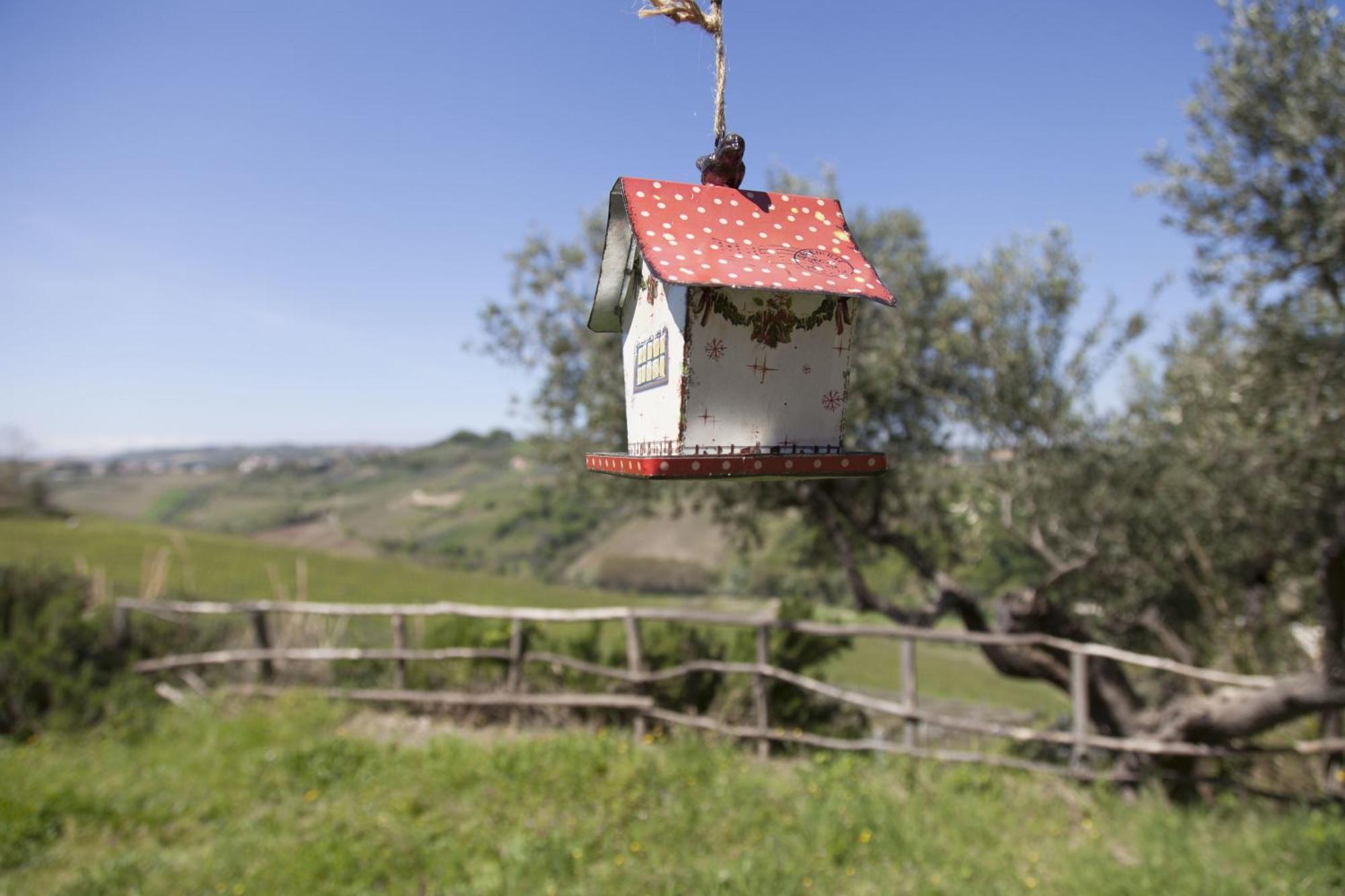 Agriturismo Campoletizia Miglianico Εξωτερικό φωτογραφία