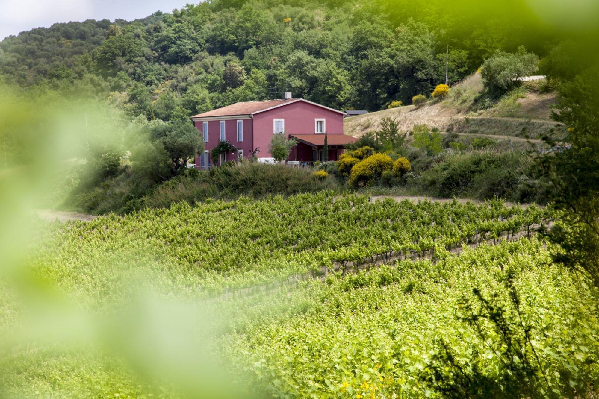 Agriturismo Campoletizia Miglianico Εξωτερικό φωτογραφία