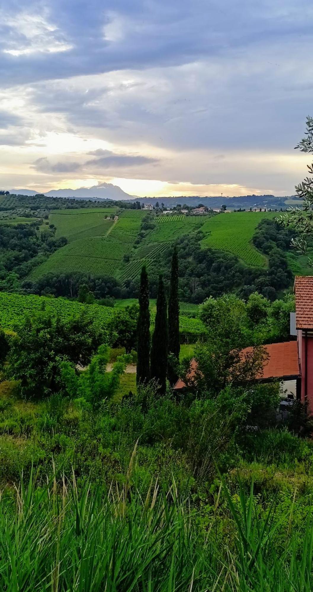 Agriturismo Campoletizia Miglianico Εξωτερικό φωτογραφία
