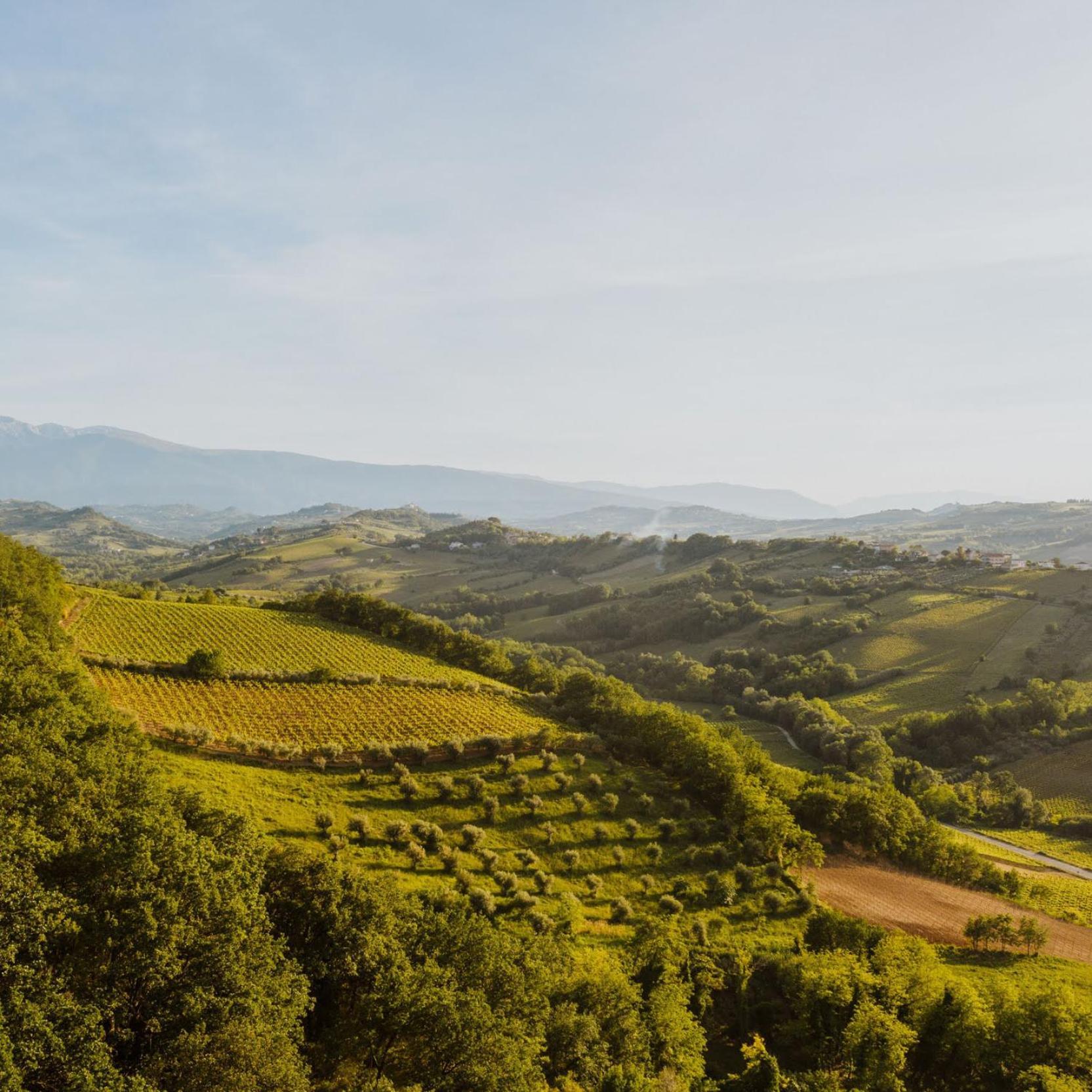 Agriturismo Campoletizia Miglianico Εξωτερικό φωτογραφία